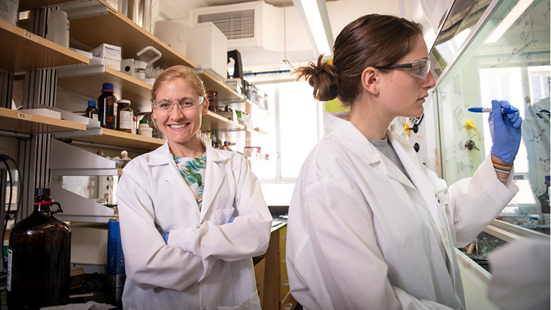 students working in lab