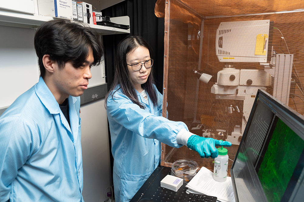 student work in lab