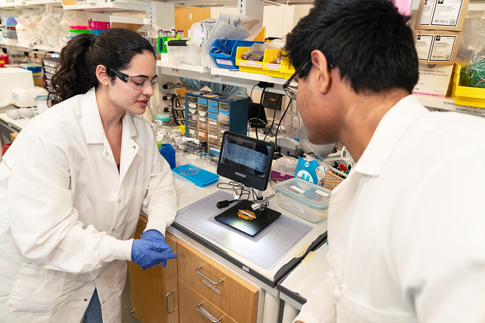 Ph.D. students work in lab