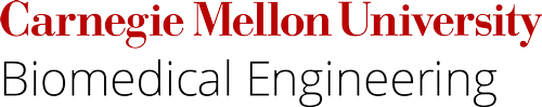 Biomedical Engineering