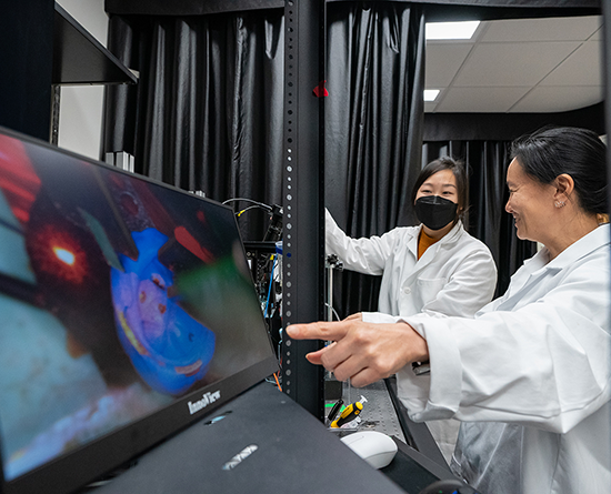 Two people in lab coats look at a screen