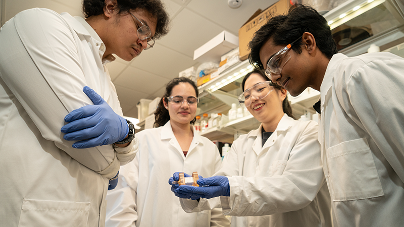 students working in lab